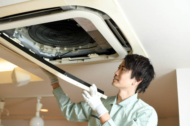 Air Duct Mold Removal in Sheridan, CA